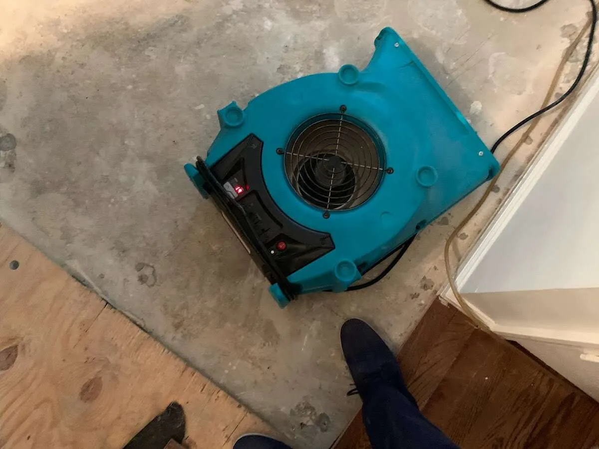 Air mover drying subfloor during Leak Detection & Repair in Shoreview